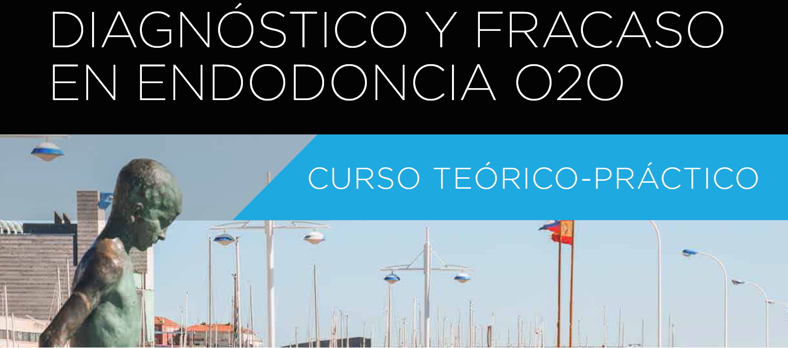 Curso Presencial Terico-Prctico. Diagnstico y fracaso en endodoncia 020